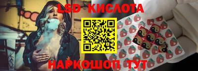 крисы Бийск