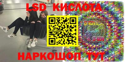 крисы Бийск