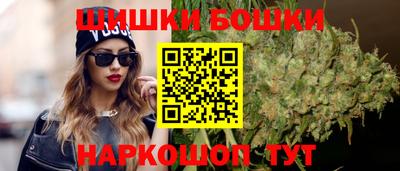 крисы Бийск
