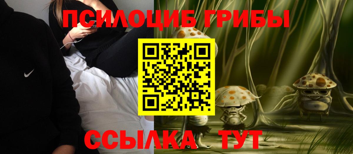 Псилоцибиновые грибы Psilocybine cubensis Гатчина